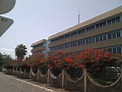 2010-06-23 14.06.46.jpg